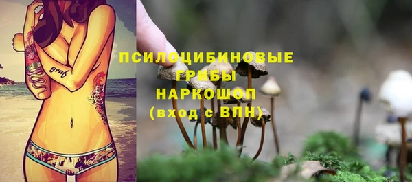 гидра Горнозаводск