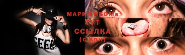 гидра Горнозаводск