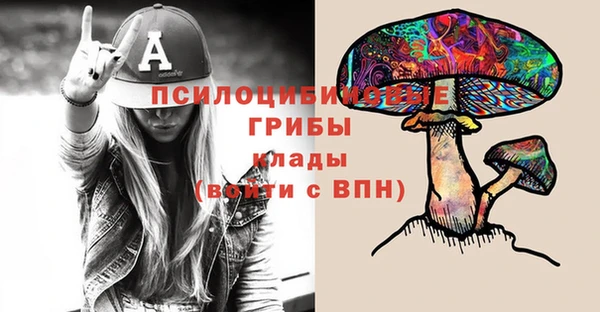 прущие крисы Горно-Алтайск