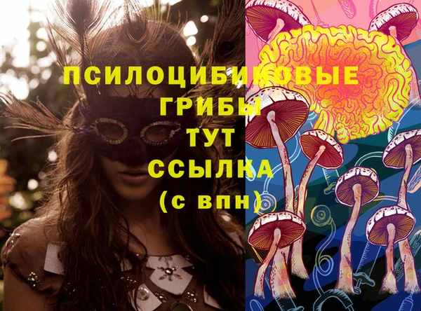 прущие крисы Горно-Алтайск