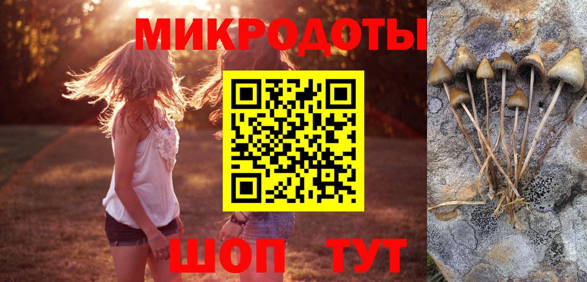 Галлюциногенные грибы мицелий  Вход с VPN  Касимов  Галлюциногенные грибы Psilocybine cubensis 