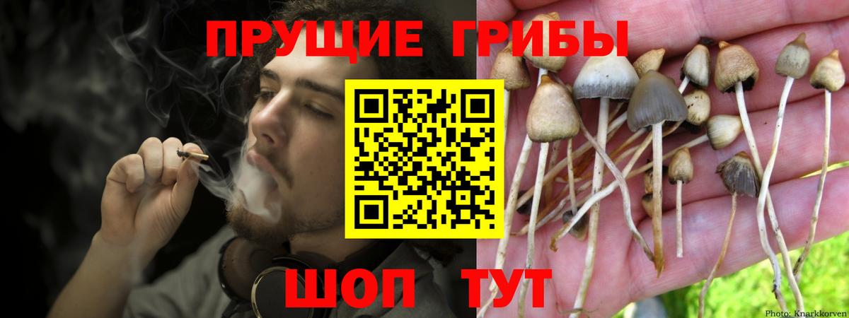 Галлюциногенные грибы Cubensis Касимов